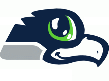 Seattle Seahawks Anime Logo fabric transfer
